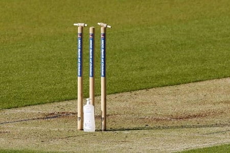 Cricket