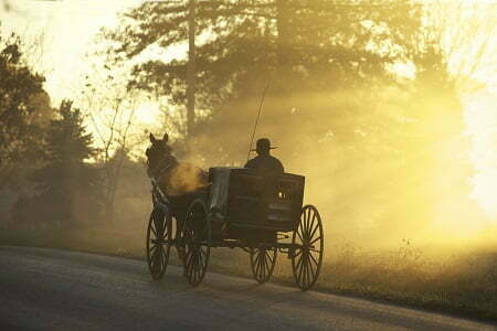 Horse Carriage