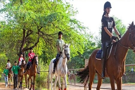 Horse Ride